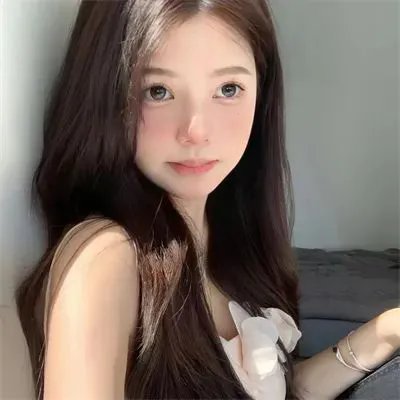 森林里的熊先生